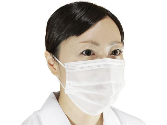 ファーストレイト e使いきり2層マスク サラットタイプ 100枚 FR-5326 1袋（ご注文単位1袋）【直送品】