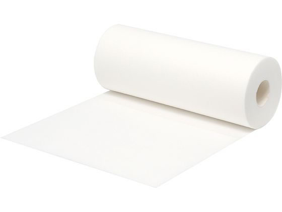 スワン 業務用キッチンペーパー M 100枚×2 4753018 1パック(ご注文単位1パック)【直送品】