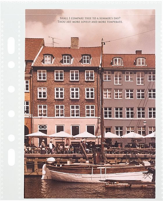 リヒトラブ myfa コレクションポケット ミニ ワイド 10枚 N3346 1パック(ご注文単位1パック)【直送品】