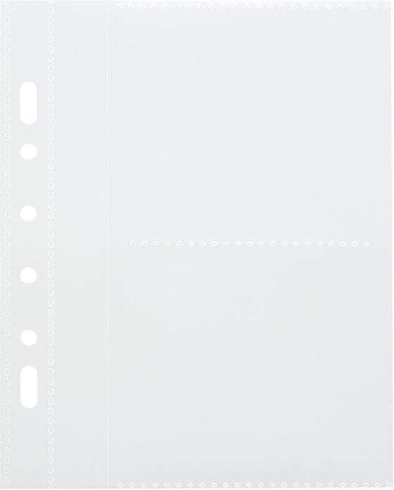 リヒトラブ myfa コレクションポケット ミニ 2ポケット 10枚 N3347 1パック(ご注文単位1パック)【直送品】