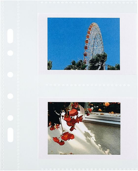 リヒトラブ myfa コレクションポケット ミニ 2ポケット 10枚 N3347 1パック(ご注文単位1パック)【直送品】