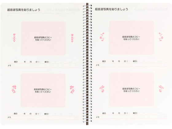 ミドリ HF ダイアリー〈A5〉 出産準備×3冊 26006006 1束(ご注文単位1束)【直送品】