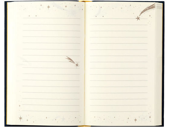 ミドリ 日記 1日1ページ 洋書 星柄×2冊 12880006 1袋(ご注文単位1袋)【直送品】