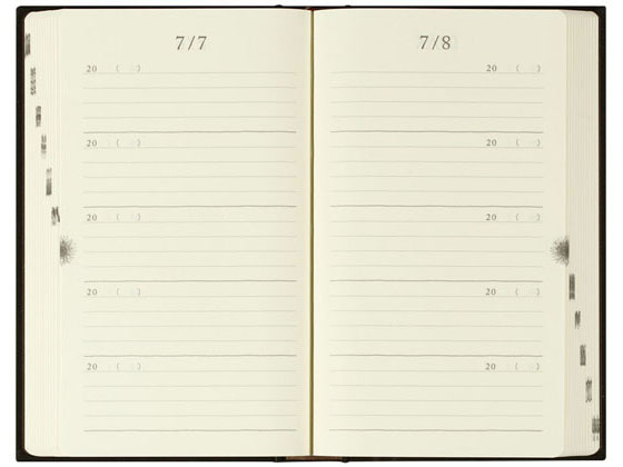 ミドリ 日記 5年連用 扉 黒 12396006 1袋(ご注文単位1袋)【直送品】