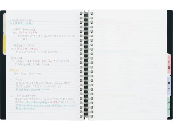 リヒトラブ リングノート保存用ノート A5 クリヤー N1850-1 1冊(ご注文単位1冊)【直送品】