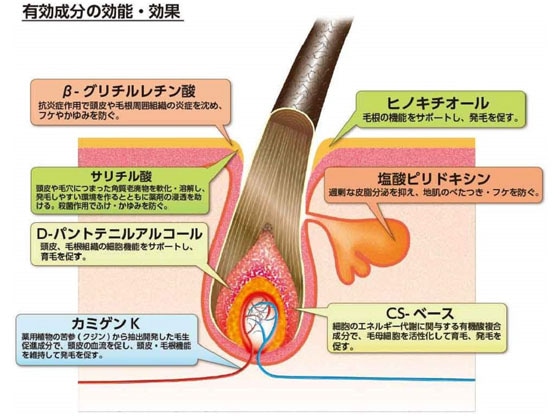 加美乃素本舗 レディース 加美乃素 EX 1個（ご注文単位1個）【直送品】