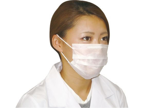 ファーストレイト さらっとフィットマスク 100枚×50箱 1箱(ご注文単位1箱)【直送品】