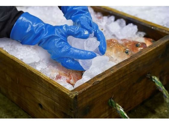 エステーPro モデルローブ No.670 ニトリルモデル防寒 L 1双(ご注文単位1双)【直送品】