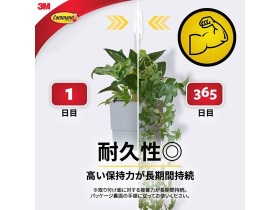 3M コマンドフック お買い得パック Lサイズ CM2L-6 1パック(ご注文単位1パック)【直送品】