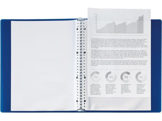 リヒトラブ SOERU クリヤーブック A4 ポケット交換 30穴 フロストクリヤー 1冊（ご注文単位1冊）【直送品】