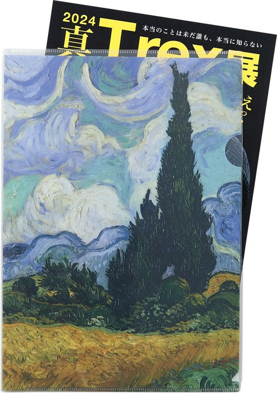 リヒトラブ Collel クリアファイルカバー A4 3枚 F480-3P 1パック(ご注文単位1パック)【直送品】