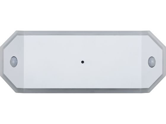 アイリスオーヤマ 乾電池式LEDライト ダブルセンサー廊下タイプ BSL-RWMS 1台（ご注文単位1台）【直送品】