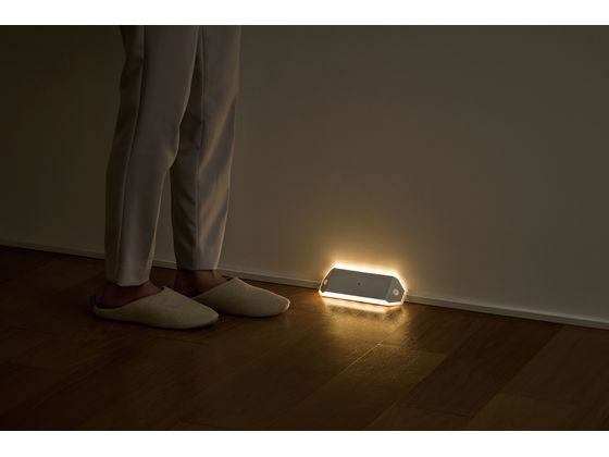 アイリスオーヤマ 乾電池式LEDライト ダブルセンサー廊下タイプ BSL-RWMS 1台（ご注文単位1台）【直送品】