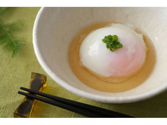 アイリスオーヤマ 低温調理器 オフホワイト LTC-04-W 1台(ご注文単位1台)【直送品】