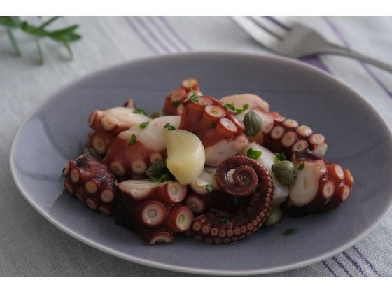 アイリスオーヤマ 低温調理器 ウォームグレー LTC-04-H 1台(ご注文単位1台)【直送品】