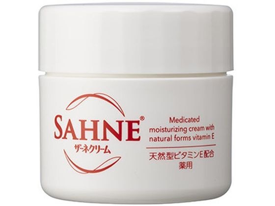 エーザイ ザーネ クリーム E 100g 1個（ご注文単位1個）【直送品】