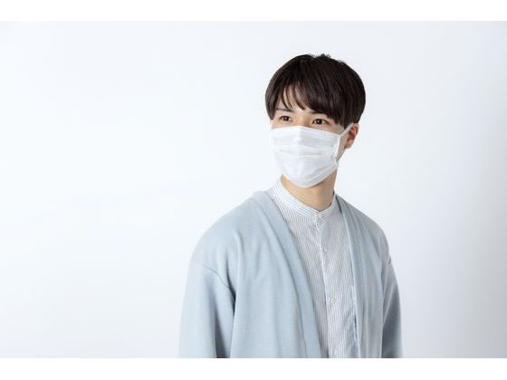 アイリス DAILYFITMASK なめらかタッチ ふつう ホワイト 50枚 1箱(ご注文単位1箱)【直送品】