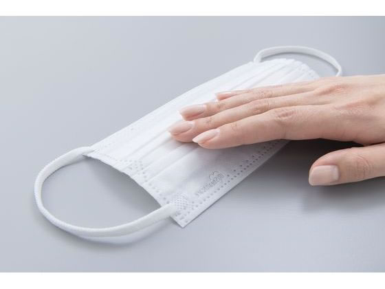 アイリス DAILYFITMASK なめらかタッチ ふつう ホワイト 50枚 1箱(ご注文単位1箱)【直送品】