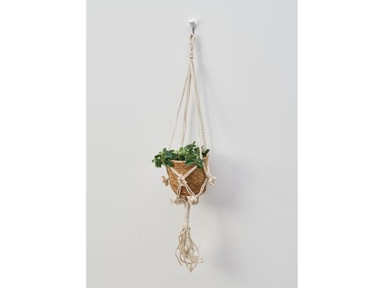 レック 穴の目立たないピンフック ホワイト 3個入 H00405 1パック(ご注文単位1パック)【直送品】