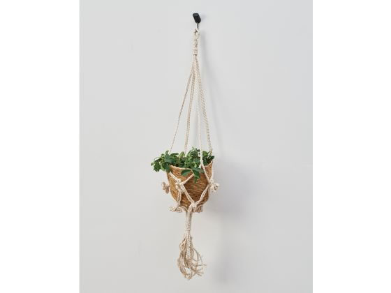 レック 穴の目立たないピンフック ブラック 3個入 H00405 1パック(ご注文単位1パック)【直送品】