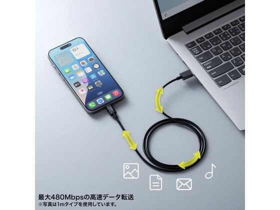 サンワサプライ USB 2.0 Type-Cケーブル(3m・ブラック) KU-CA30BK 1本（ご注文単位1本）【直送品】