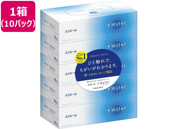 大王製紙 エリエール +Water 180組5個×10パック 1箱(ご注文単位1箱)【直送品】