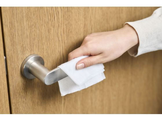 アイリスオーヤマ 除菌ができるウェットティッシュ ノンアルコール 3個×20パック 1箱(ご注文単位1箱)【直送品】