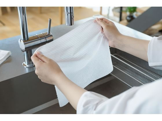 アイリスオーヤマ 洗えるキッチンペーパー 55枚 KP-R55W 1ロール(ご注文単位1ロール)【直送品】