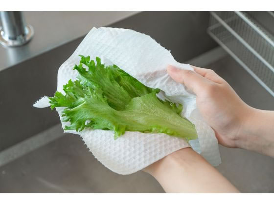 アイリスオーヤマ 洗えるキッチンペーパー 55枚 KP-R55W 1ロール(ご注文単位1ロール)【直送品】