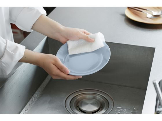 アイリスオーヤマ 洗えるキッチンペーパー 55枚 KP-R55W 1ロール(ご注文単位1ロール)【直送品】