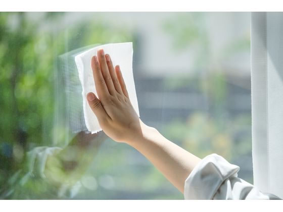 アイリスオーヤマ 洗えるキッチンペーパー 55枚 KP-R55W 1ロール(ご注文単位1ロール)【直送品】