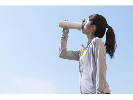 アイリスオーヤマ ステンレスマグボトル ワンタッチ ペールホワイト 0.5L 1個（ご注文単位1個）【直送品】