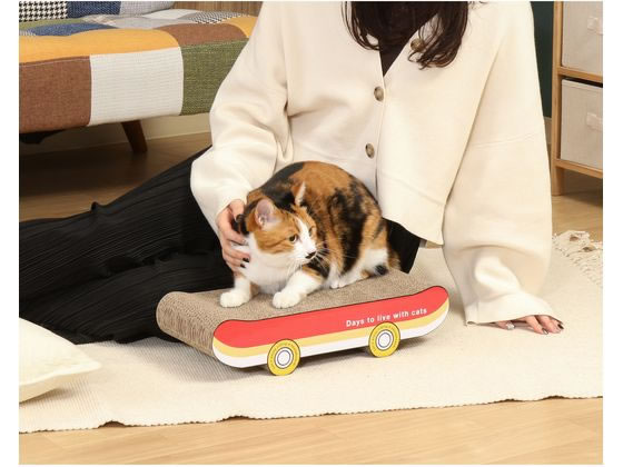 不二貿易 猫の爪とぎ スケボー 54227 1個(ご注文単位1個)【直送品】