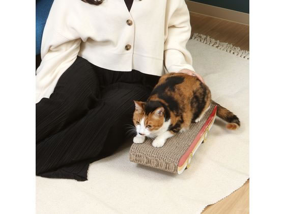 不二貿易 猫の爪とぎ スケボー 54227 1個(ご注文単位1個)【直送品】