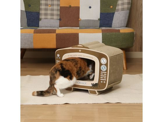 不二貿易 猫の爪とぎ テレビ 54223 1個(ご注文単位1個)【直送品】