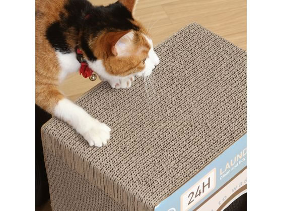 不二貿易 猫の爪とぎ ランドリー 54225 1個(ご注文単位1個)【直送品】