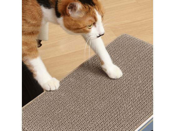 不二貿易 猫の爪とぎ 缶詰 54224 1個(ご注文単位1個)【直送品】