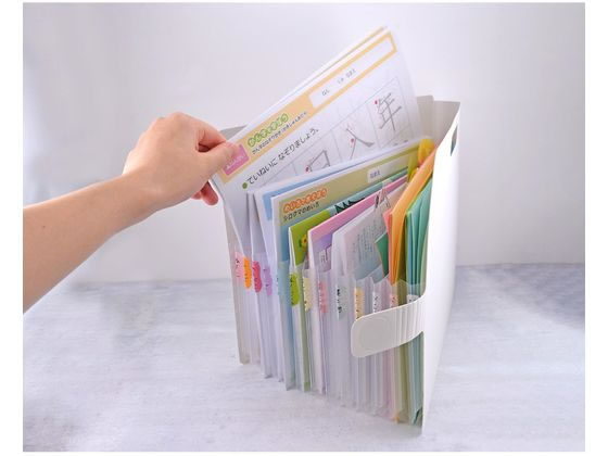 サクラクレパス こまごまファイルA4サイズホワイト TF-A4#50 1冊(ご注文単位1冊)【直送品】