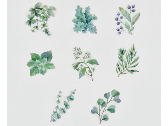 bande マスキングロールステッカー グリーンブーケ BDA681 1巻(ご注文単位1巻)【直送品】