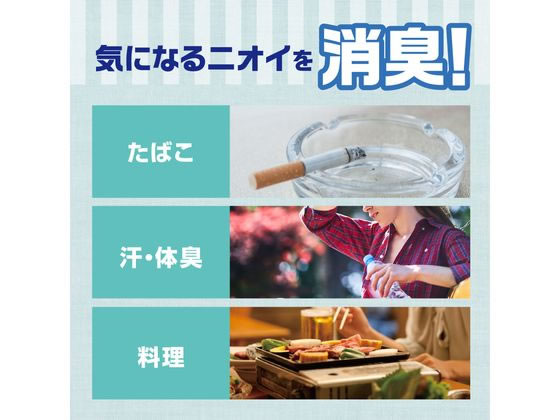白元アース 衣類のシワ伸ばしミスト シワトル 300mL 1個（ご注文単位1個）【直送品】