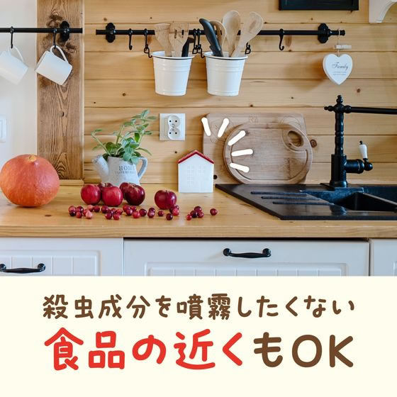 アース製薬 コバエがホイホイ 赤い屋根のおうち 1ｾｯﾄ（ご注文単位1ｾｯﾄ）【直送品】
