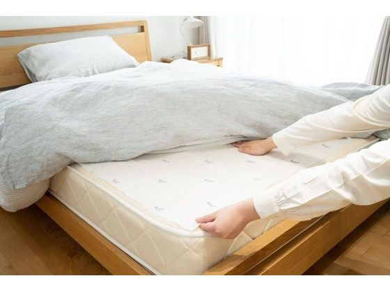 アース製薬 防虫力 ダニよけ どでかシート 2枚 1箱(ご注文単位1箱)【直送品】