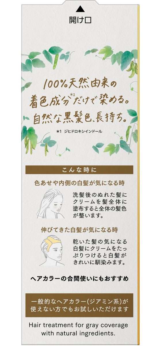 KAO ブローネ リライズ ナチュリラ カラートリートメント ナチュラルブラック 付替用 1個(ご注文単位1個)【直送品】