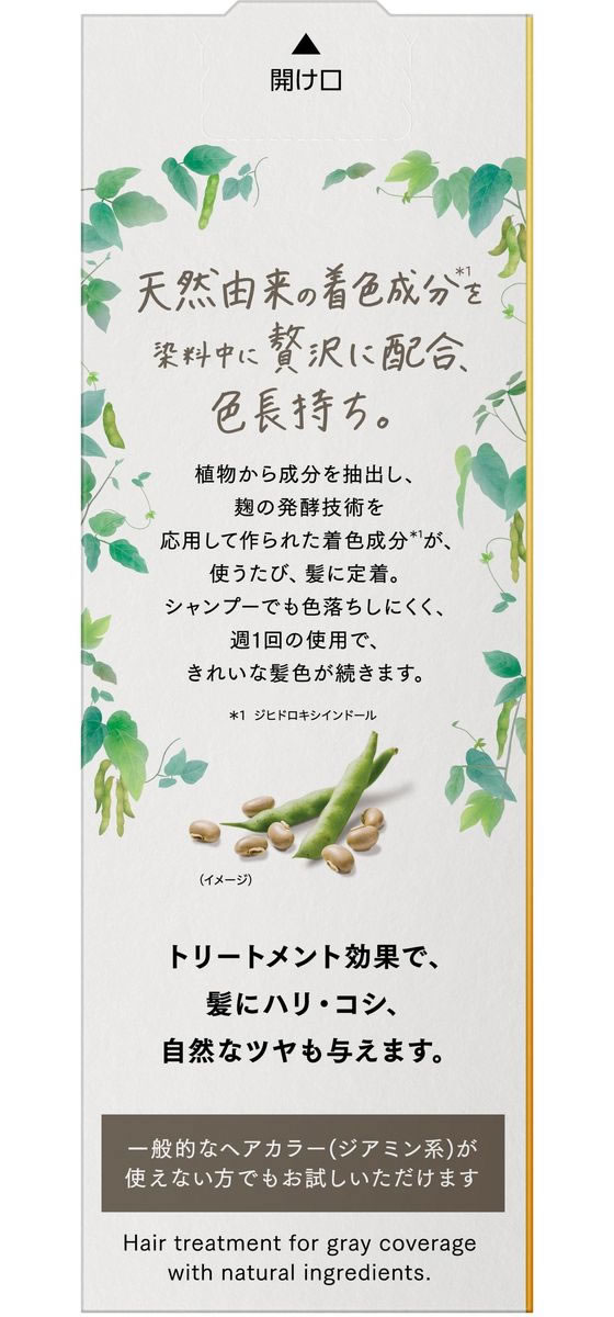 KAO ブローネ リライズ ナチュリラ カラートリートメント アッシュブラウン 本体 1個(ご注文単位1個)【直送品】