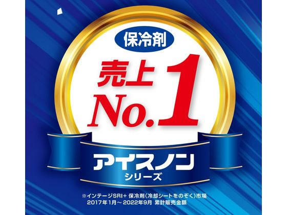 白元アース アイスノン ネッククーラーアイス グレー Lサイズ 1個(ご注文単位1個)【直送品】