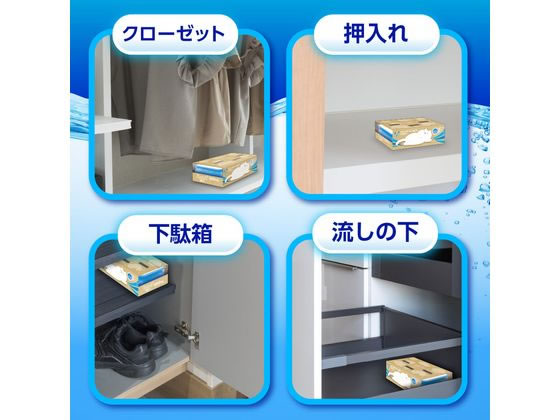 白元アース ドライ&ドライUP NECO 金木犀 1000mL 2個入 1個(ご注文単位1個)【直送品】