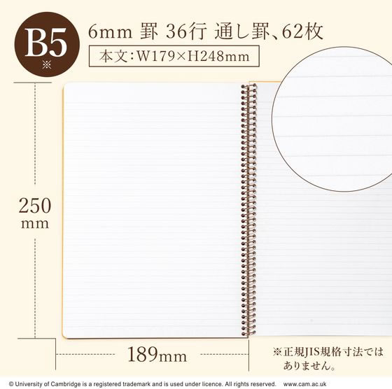 キョクトウ ケンブリッジノート B5変型 6mm罫36行通し罫 62枚 P910 1冊（ご注文単位1冊）【直送品】