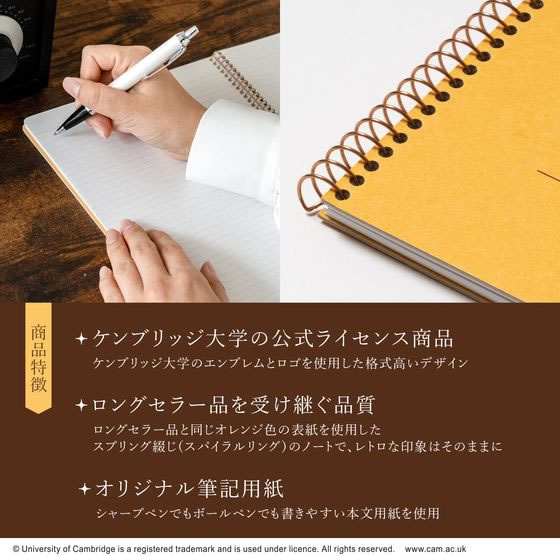 キョクトウ ケンブリッジノート B5変型 6mm罫36行通し罫 62枚 P910 1冊（ご注文単位1冊）【直送品】