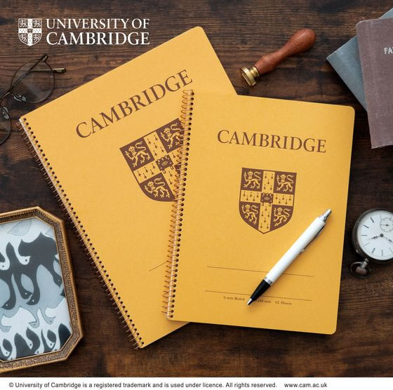 キョクトウ ケンブリッジノート B5変型 6mm罫36行通し罫 62枚 P910 1冊（ご注文単位1冊）【直送品】