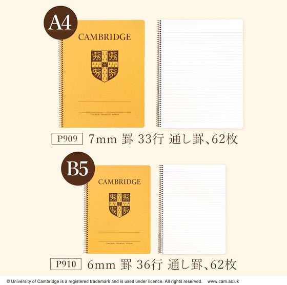 キョクトウ ケンブリッジノート B5変型 6mm罫36行通し罫 62枚 P910 1冊（ご注文単位1冊）【直送品】